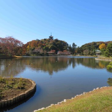 再来日のフィリピンご家族と楽しむ横浜散策