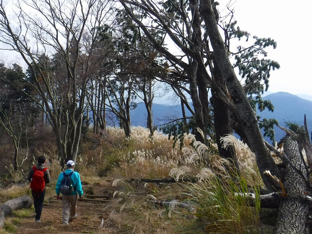 O-2 Oyama Hiking Course